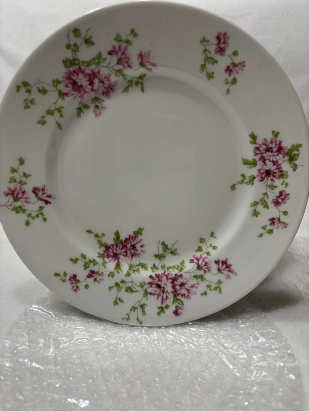 G. Ahrenfeldt Limoges Pink Floral Salad Plates - Set of 10
